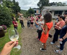 Capital do Vinho do Paraná, Bituruna é destaque em roteiro nacional de enoturismo