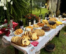 Capital do Vinho do Paraná, Bituruna é destaque em roteiro nacional de enoturismo