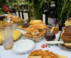 Capital do Vinho do Paraná, Bituruna é destaque em roteiro nacional de enoturismo
