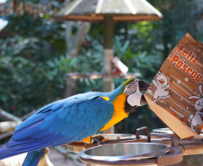 Divulgação Parque das Aves