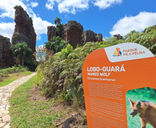 Créditos Viaje Paraná