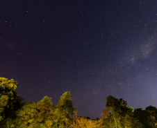 Cosmos Iguassu