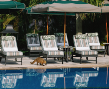 Hotel das Cataratas a Belmond Hotel