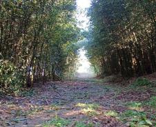 Novo circuito de turismo rural
