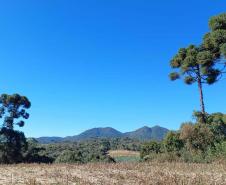Novo circuito de turismo rural