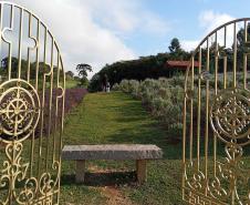 Rota das Lavandas Paraná