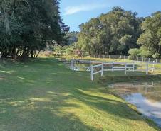 Rota das Lavandas Paraná