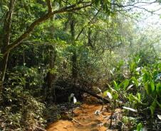 Divulgação Parque Nacional do Iguaçu