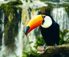 Foz do Iguaçu