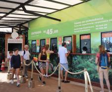 Turismo do Paraná cresce acima da média nacional
