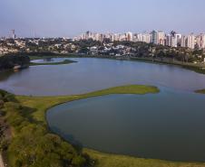 Daniel Castellano / SMCS