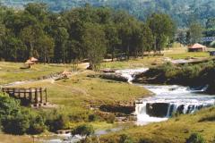 Parque Linear