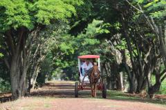 Turismo rural conquista viajantes em diversas regiões do Estado