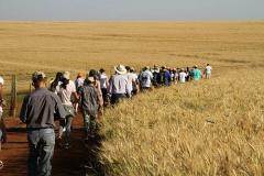 Caminhadas na Natureza terão 160 circuitos no Paraná neste ano