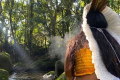 Notícia - Turismo com experiência indígena é atração da Grande Reserva da Mata Atlântica no Paraná 