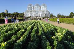 Jardim Botânico