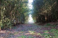 Novo circuito de turismo rural