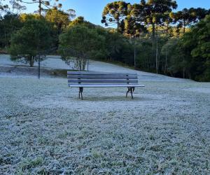 Série Inverno no Paraná - Vinhos