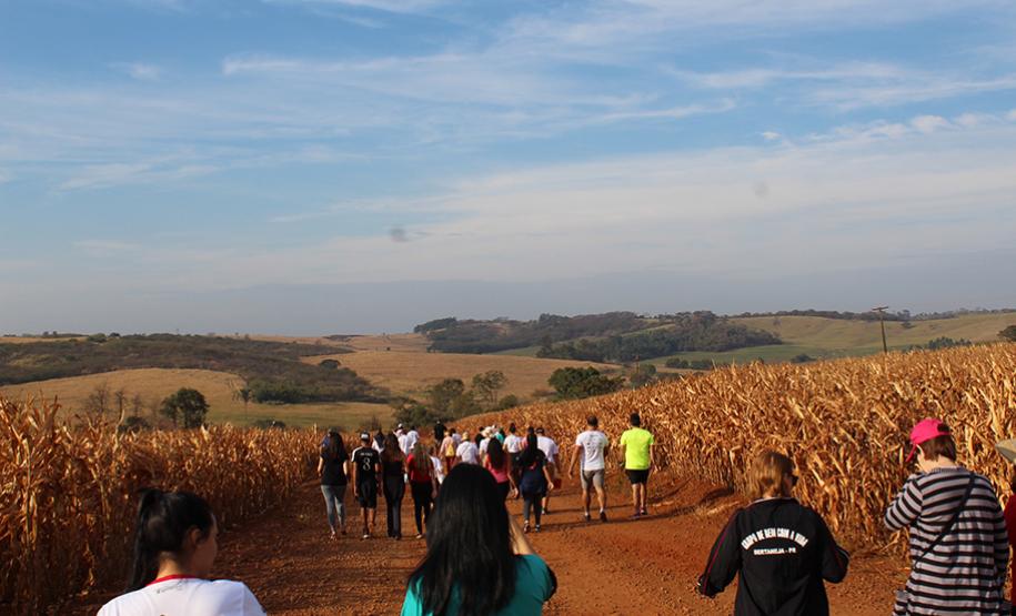 Passeio Rural