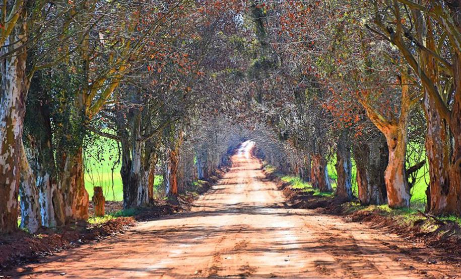 Estrada Santo André