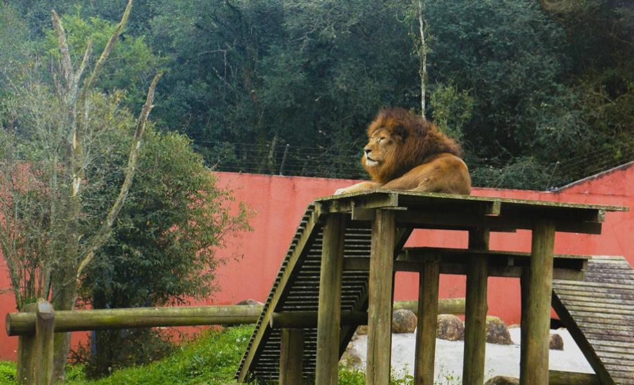 Zoológico Municipal de Curitiba
