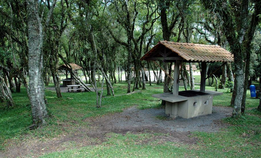 Parque do Monge
