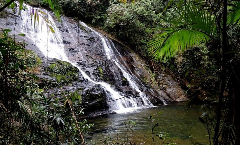 Reserva Ecológica do Sebuí