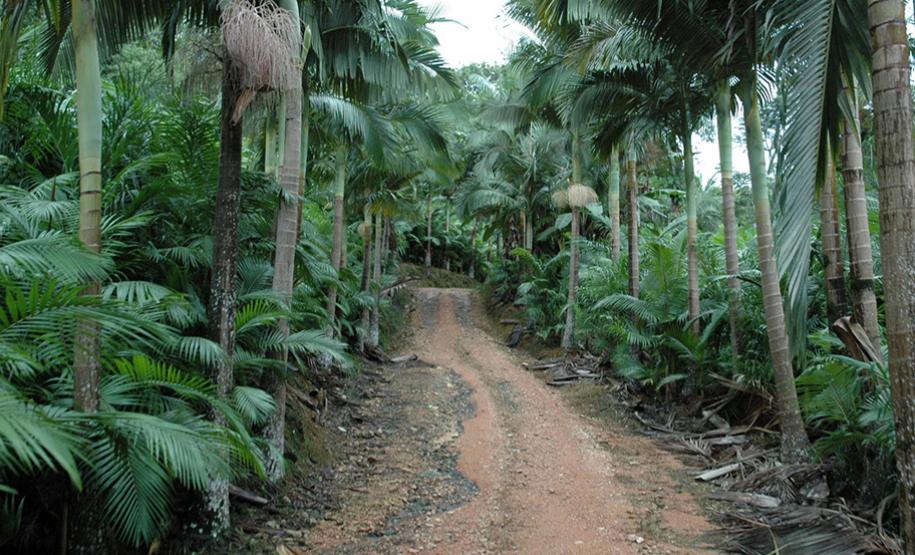 Colônia Castelhanos