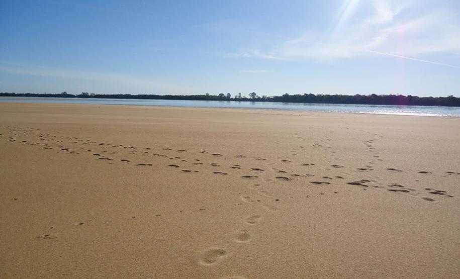 São Pedro do Paraná