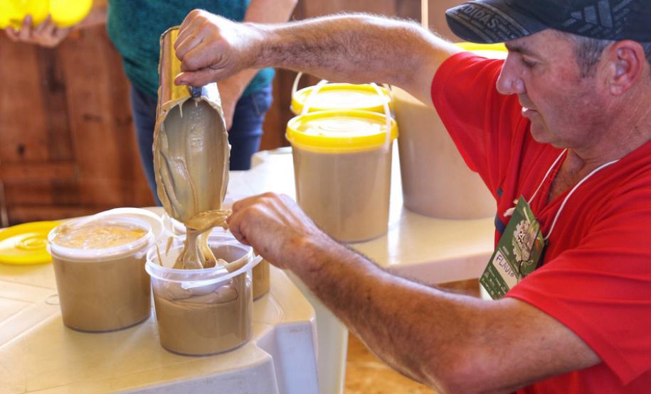 Novas leis estaduais ajudam a promover o turismo do Paraná