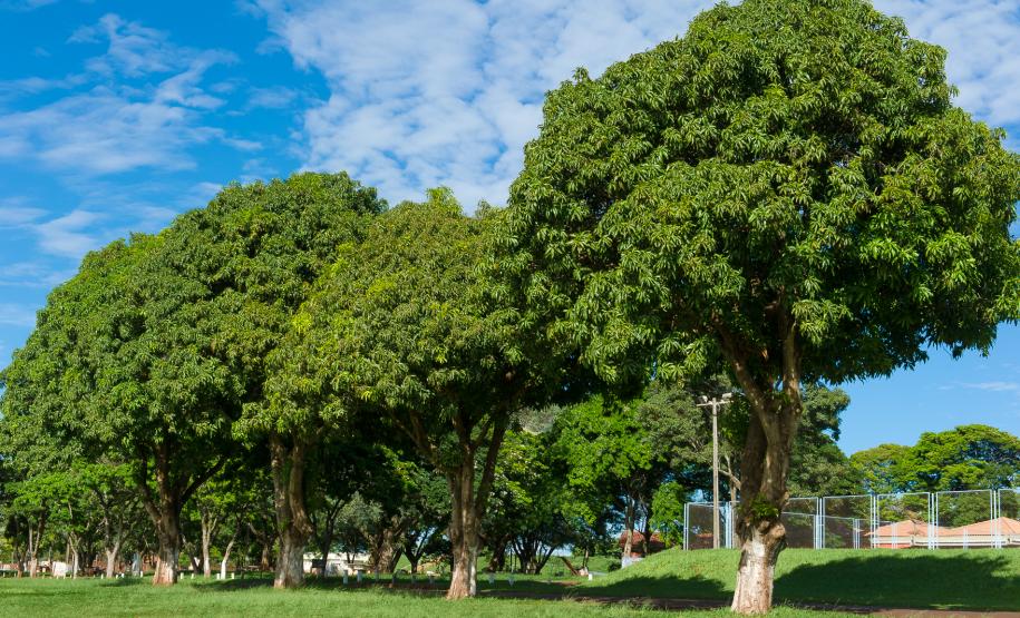 Terminal Turístico Paranatur