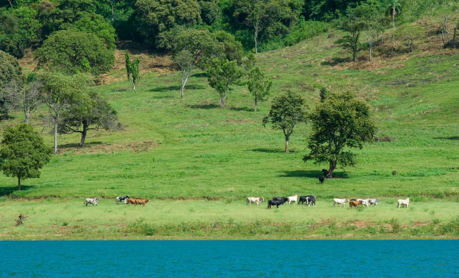 Rio Paranapanema Represado