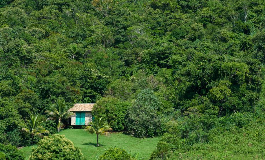 Rio Paranapanema Represado