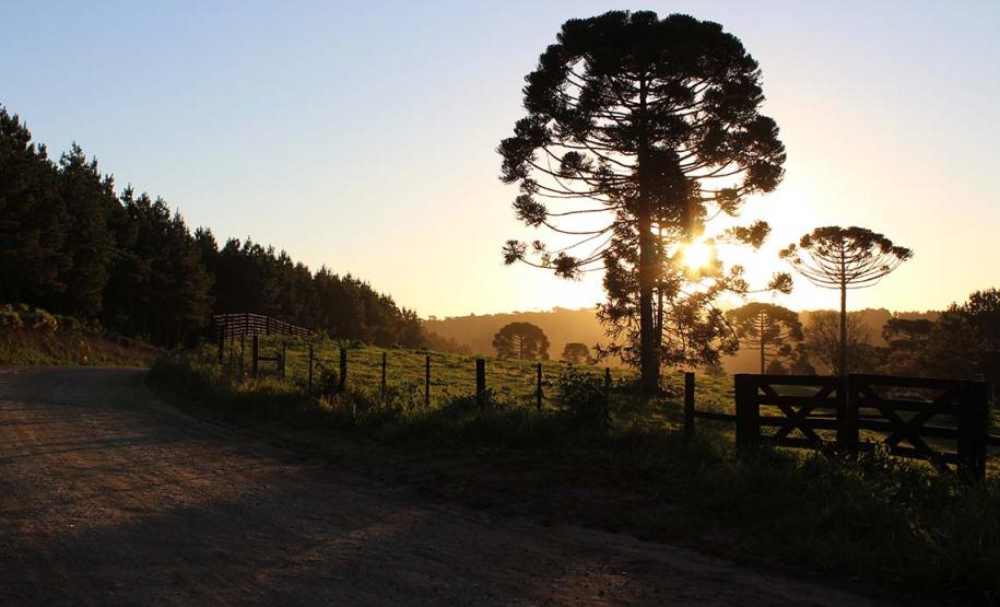 Estrada que conta histórias