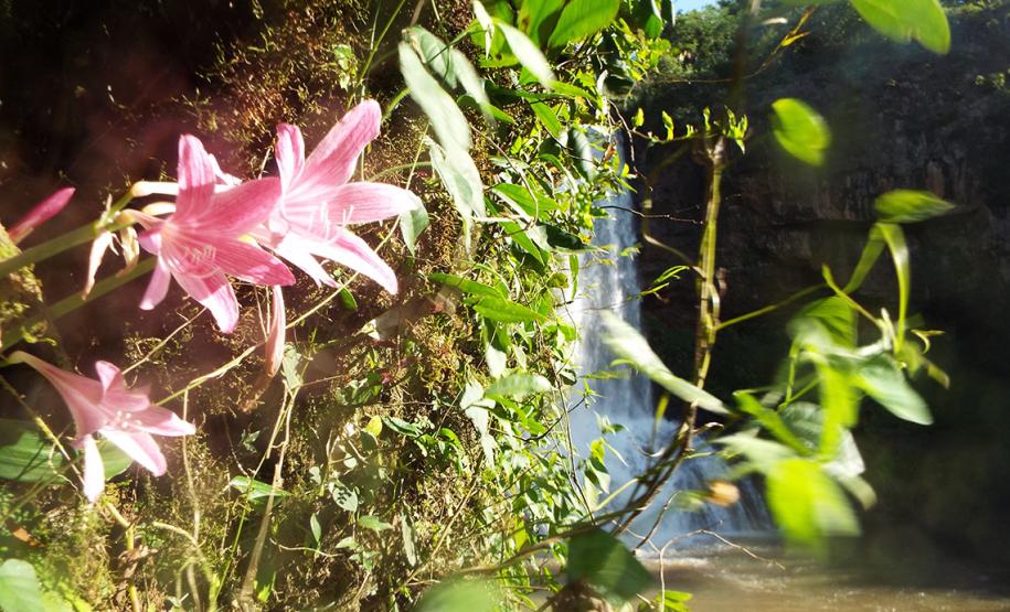Cachoeira das Andorinhas