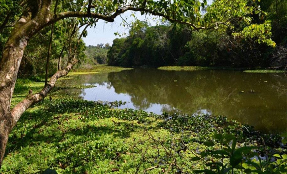 Parque Estadual Vila Rica do Espírito Santo