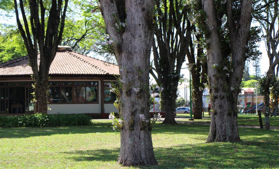 Praça das Orquídeas e Casa do Artesão