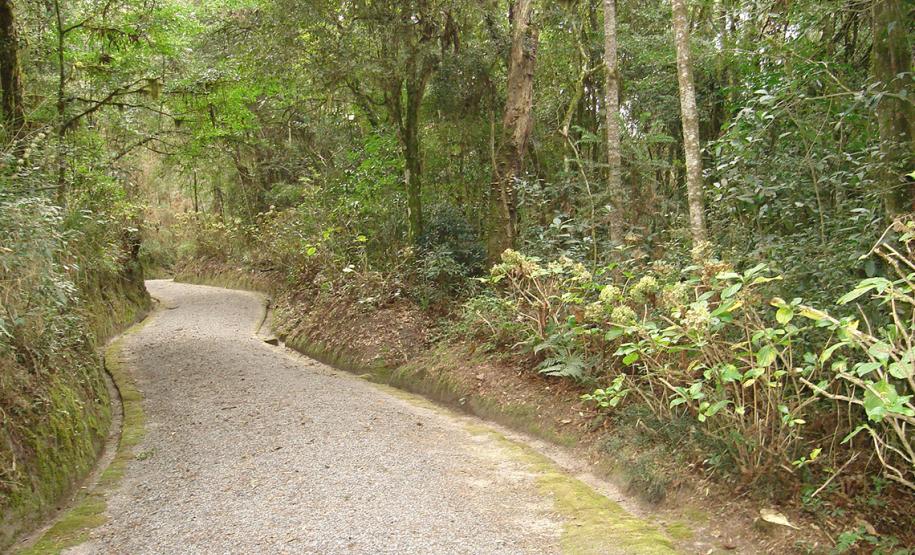 Trilha no Parque Ecoturístico Municipal São Luis de Tolosa
