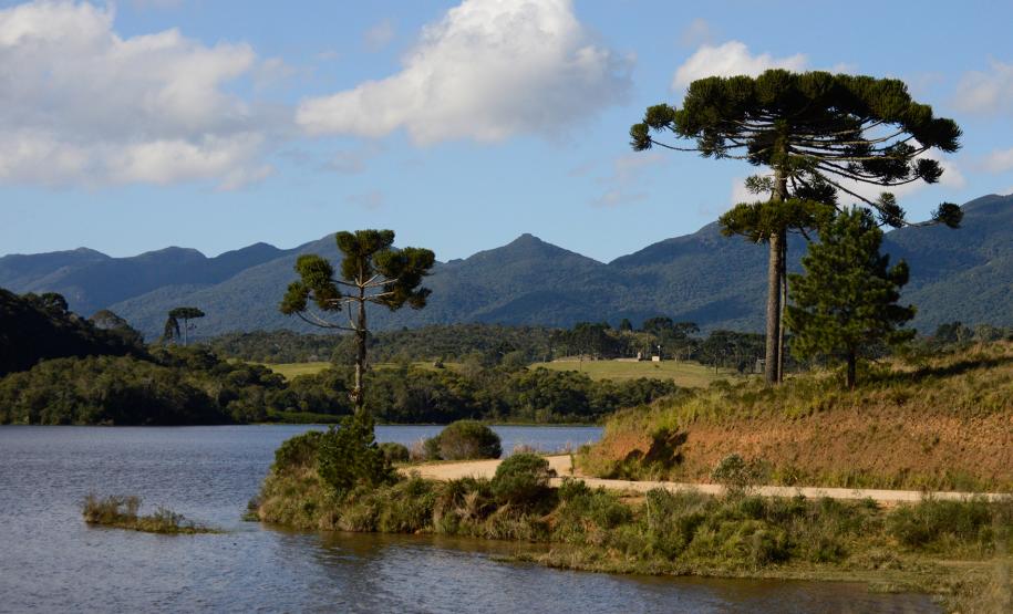 Barragem Piraquara II