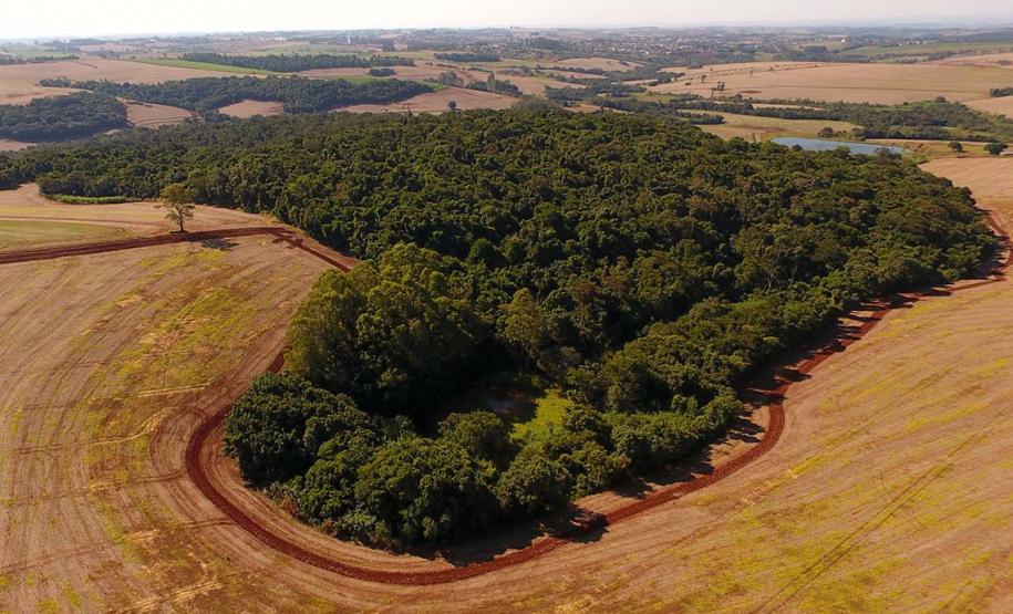 Estação Ecológica Faian