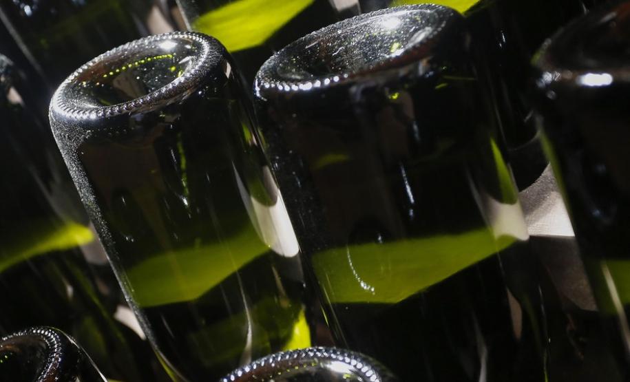 Enoturismo atrai visitantes à Região Metropolitana de Curitiba