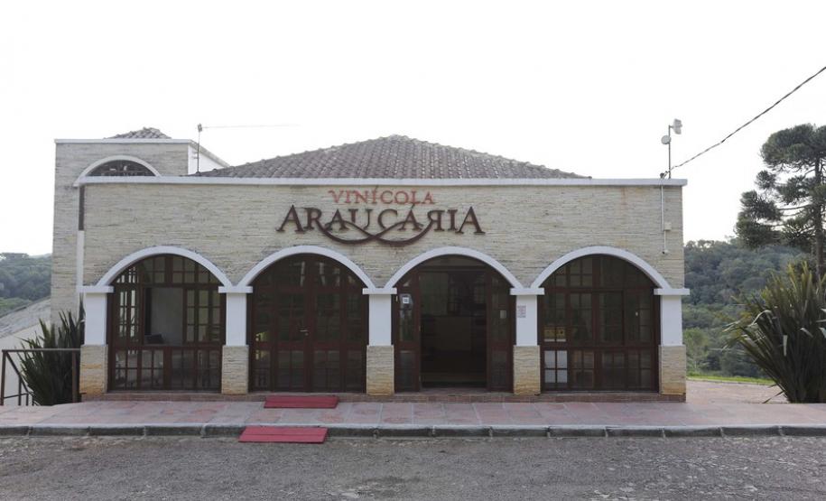 Enoturismo atrai visitantes à Região Metropolitana de Curitiba