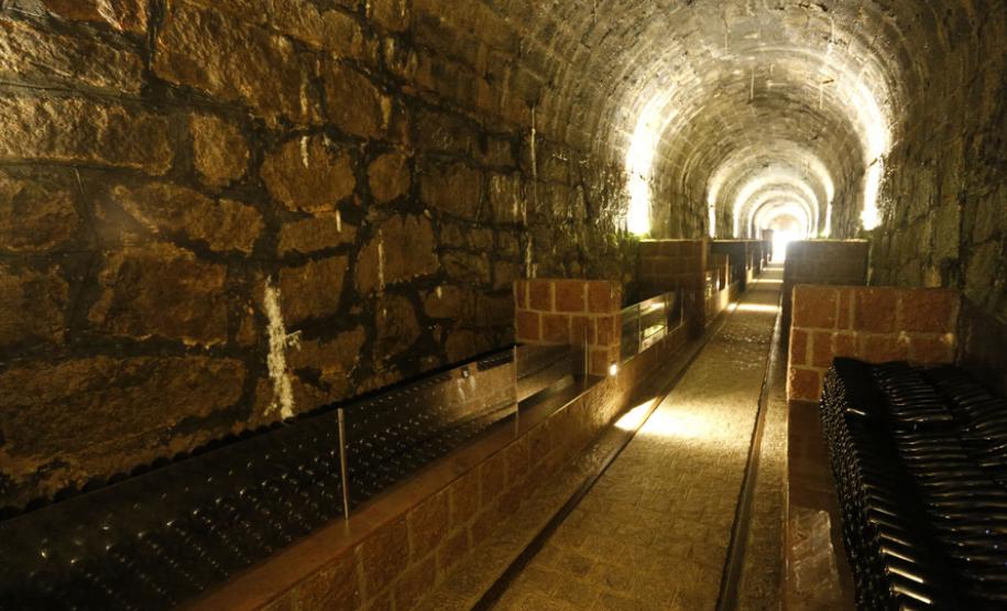 Enoturismo atrai visitantes à Região Metropolitana de Curitiba