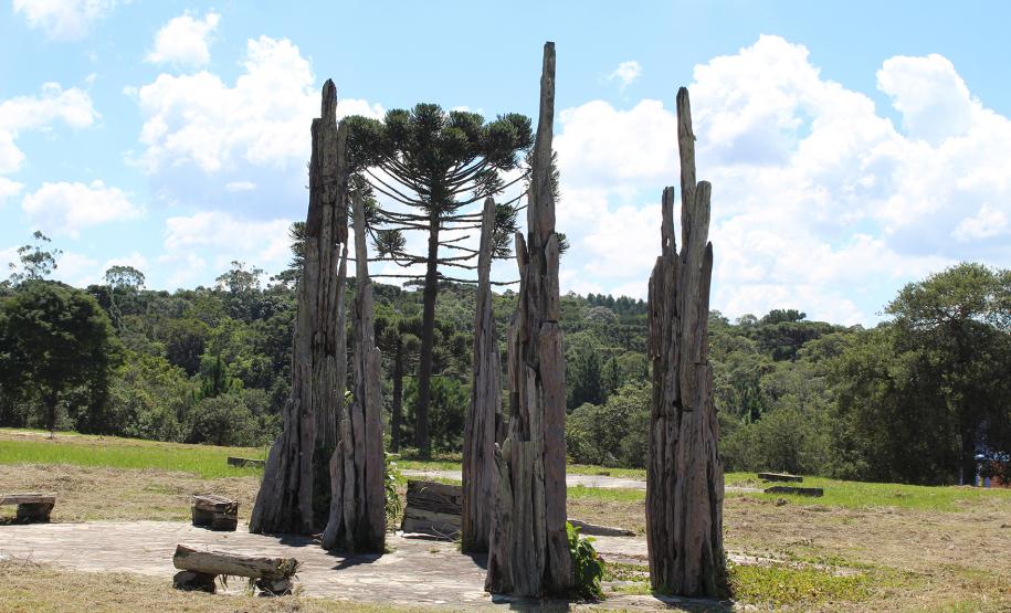 Obra de Sergius Erdelyi