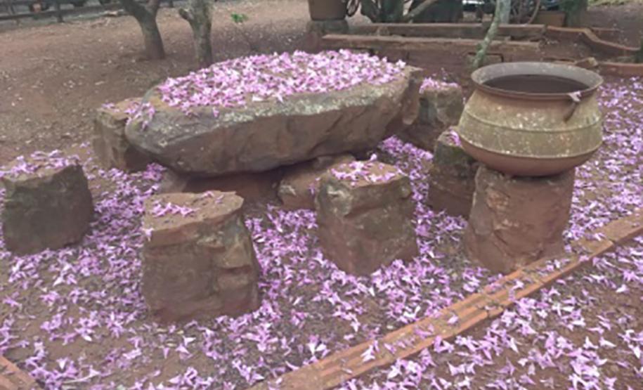 Pousada Mini Fazendinha