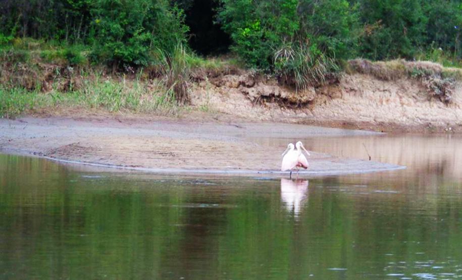 Rio da Várzea