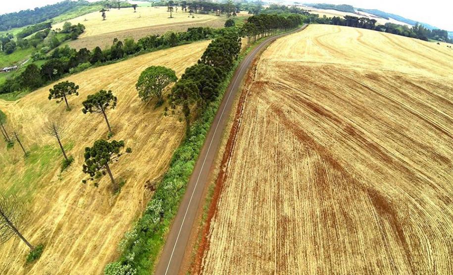 Santa Izabel do Oeste