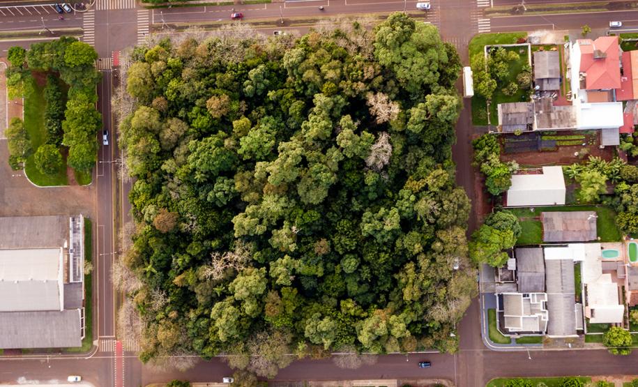 Santa Terezinha de Itaipu