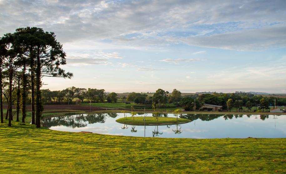 Lago Municipal