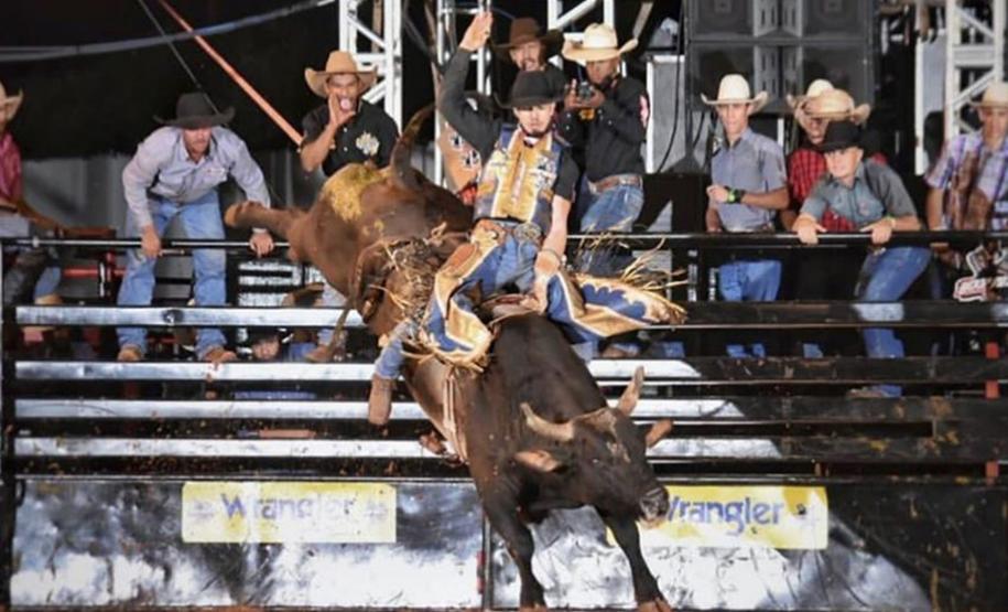 Califórnia VIAJE PARANÁ